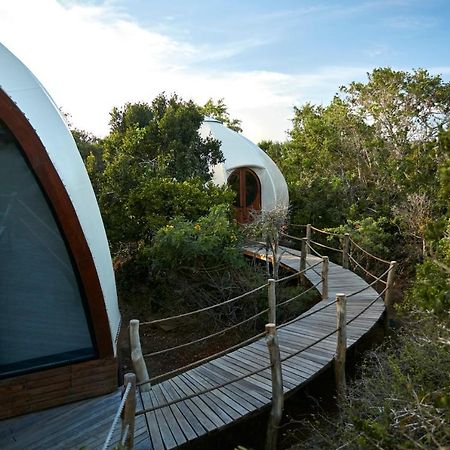 Wild Coast Tented Lodge Yala Ngoại thất bức ảnh