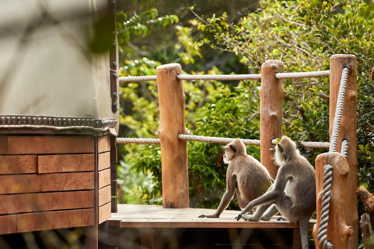 Wild Coast Tented Lodge Yala Ngoại thất bức ảnh