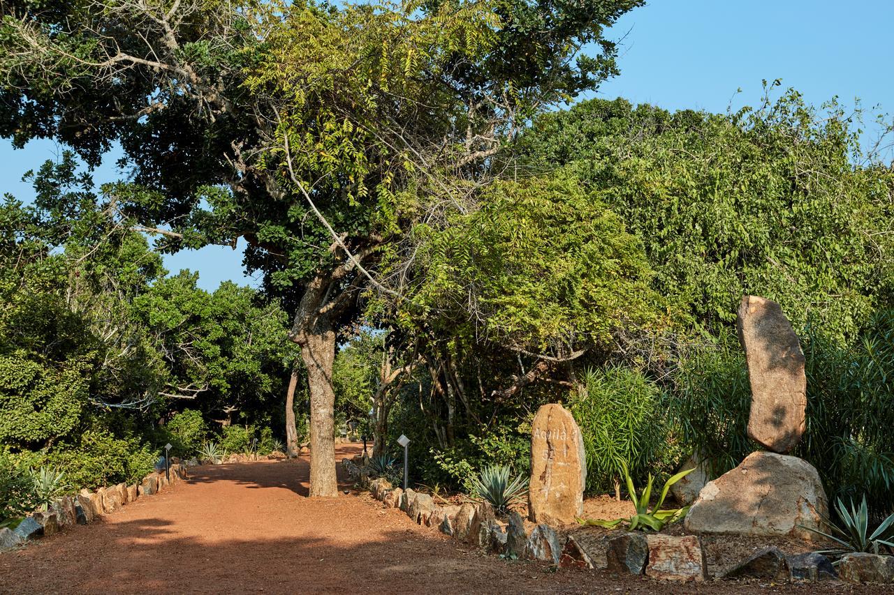 Wild Coast Tented Lodge Yala Ngoại thất bức ảnh